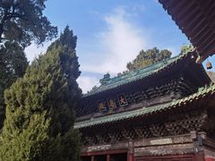 -报恩寺(平武县)