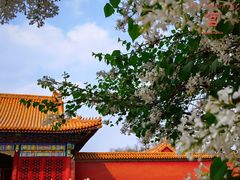 -故宫博物院(故宫)