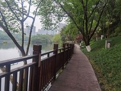 -重庆彩云湖湿地公园