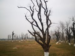 -汉长安城未央宫国家考古遗址公园