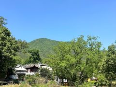-塔川景区