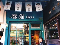 -猫咪博物馆(顶澳仔猫街店)