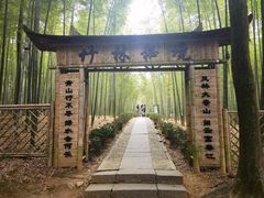 -大奇山国家森林公园