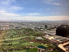 -拉斯维加斯永利酒店