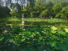 -北陵公园