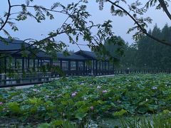 -渤公岛生态公园