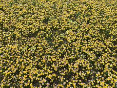 -苏州河梦清园环保主题公园