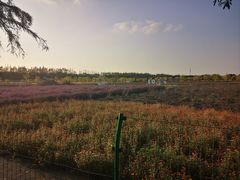 -嘉北郊野公园