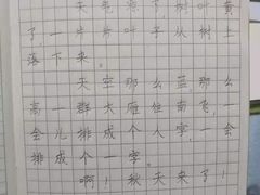 -赵汝飞练字硬笔书法(静安大融城校区)