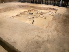 -洛阳周王城天子驾六博物馆