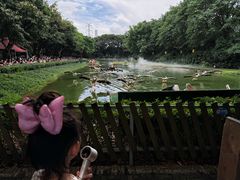 -广州长隆飞鸟乐园