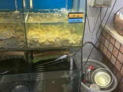 水产区-胖大嫂渔家排档·全海景餐厅(渔村店)