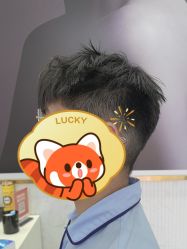 -韩国丽安形象设计