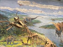 -自贡恐龙博物馆