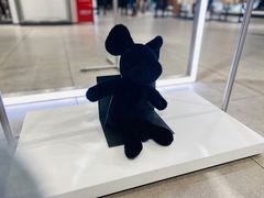 -ZARA(青岛万象城店)
