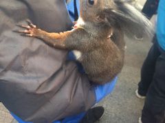 -西湖外事游船(湖滨二公园外事游船码头)