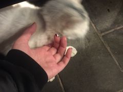 -张记牛肉面馆(天津路店)