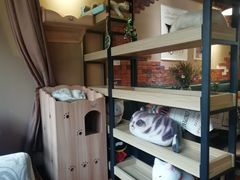 -奶奶的美食(悦立方店)