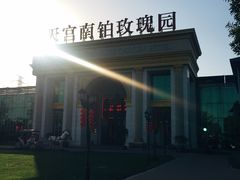 -天宫南铂玫瑰园酒店
