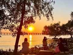 -宝安西湾红树林湿地公园