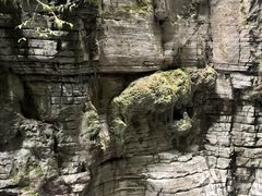 -蝶舞清江·恩施地心谷景区