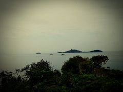 -上海市保健医疗中心(华东疗养院)