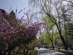-万泉公园