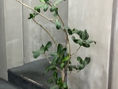 -LJ掼蛋·棋牌会所(徐汇店)