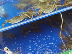 -阳澄湖大闸蟹·琼灵阁牌品牌连锁(吴中总店)