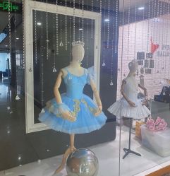 -艾薇芭蕾艺术中心