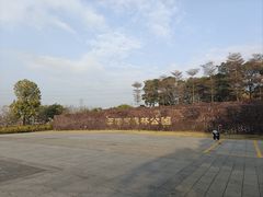 -王借岗森林公园