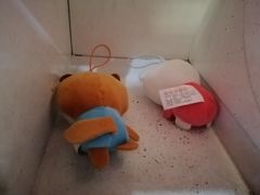 -大玩家(哈尔滨悦荟店)