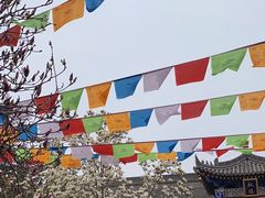 -西安市广仁寺