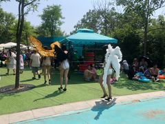 -秦皇岛乐岛海洋王国