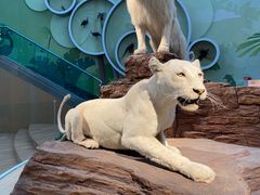 -陕西自然博物馆