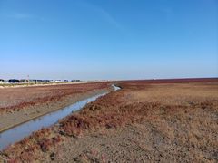 -红海滩国家风景廊道
