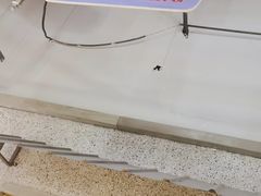 -楠火锅(葫芦岛飞天广场店)