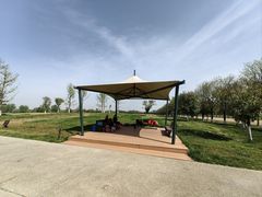 -汉长安城未央宫国家考古遗址公园