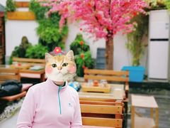 -丽江庭院之爱在路上(西单店)