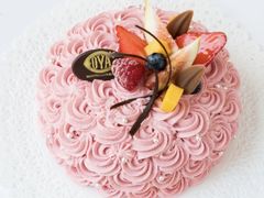 海蒂玫瑰-COVA(平安金融中心店)