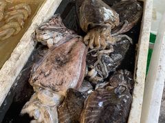 -芦潮港集贸市场