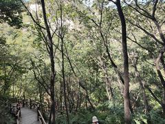 -大岭沟猕猴桃谷风景区
