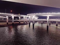-演武大桥观景平台