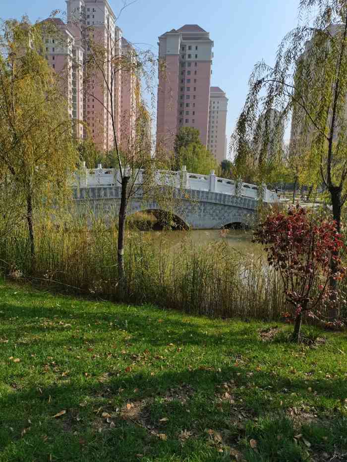 双青公园-"许久未在城市中见过的红色蜻蜓,红嘴黑身子.