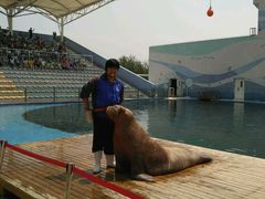 -北戴河圣蓝海洋公园