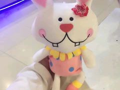 -PAWTOY爪e玩偶店(天兴罗斯福店)