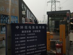 -中环花鸟鱼虫市场