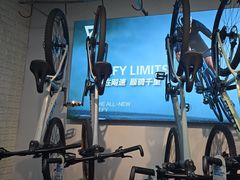 -GIANT捷安特自行车专卖店(金桥台儿庄路店)