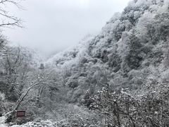 -西岭雪山大飞水景区