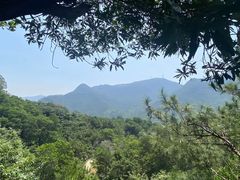 -东莞观音山旅游风景区